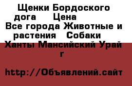 Щенки Бордоского дога.  › Цена ­ 30 000 - Все города Животные и растения » Собаки   . Ханты-Мансийский,Урай г.